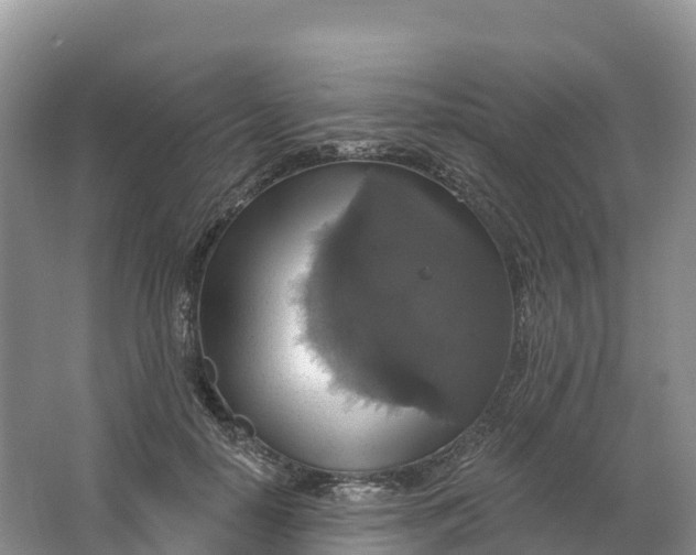 X0000064740650200602241759