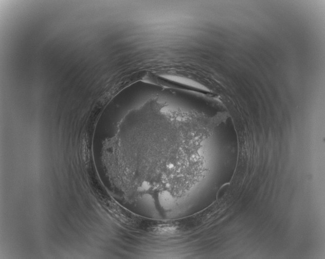 X0000064740651200602241759