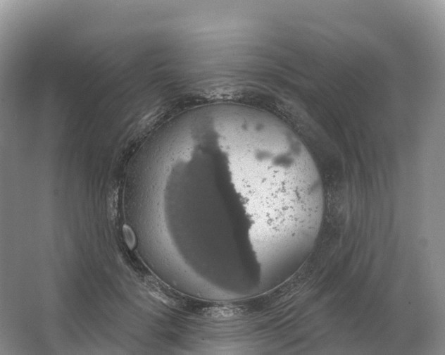 X0000064740652200602241759