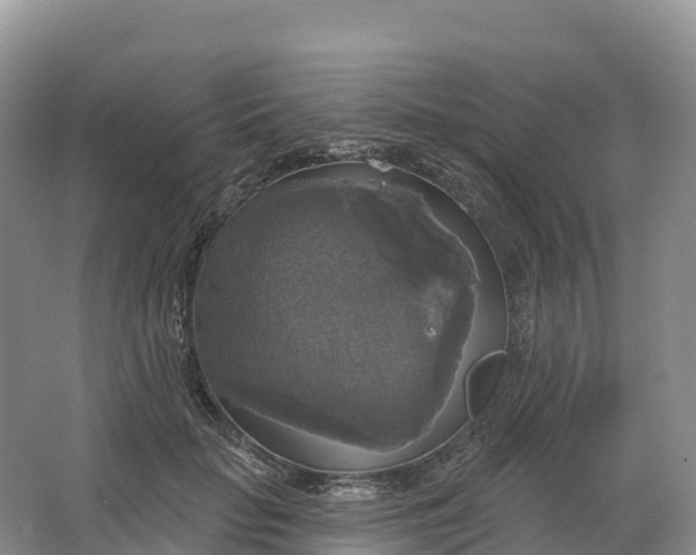 X0000064740653200602241759