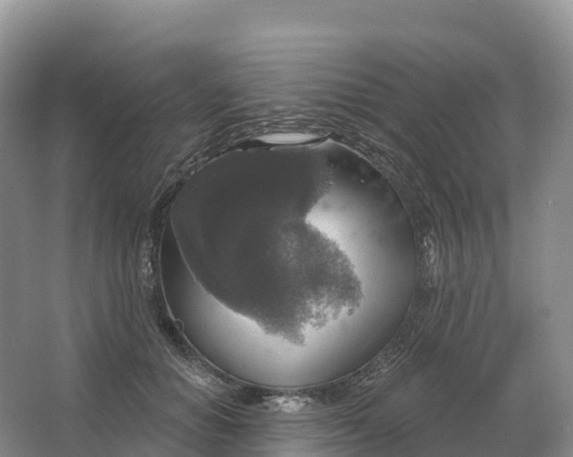 X0000064740654200602241759