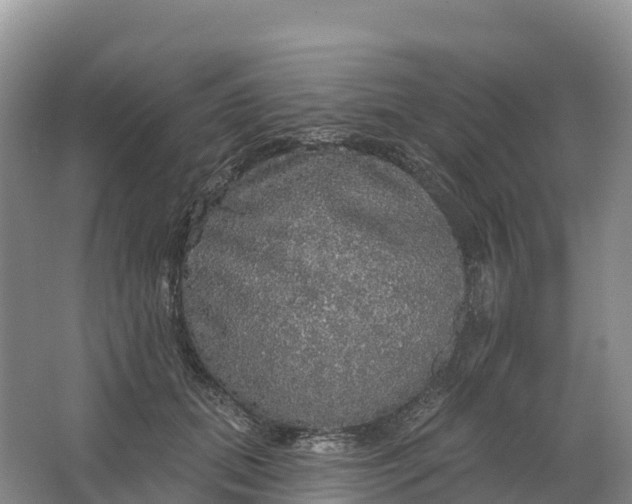 X0000064740655200602241759