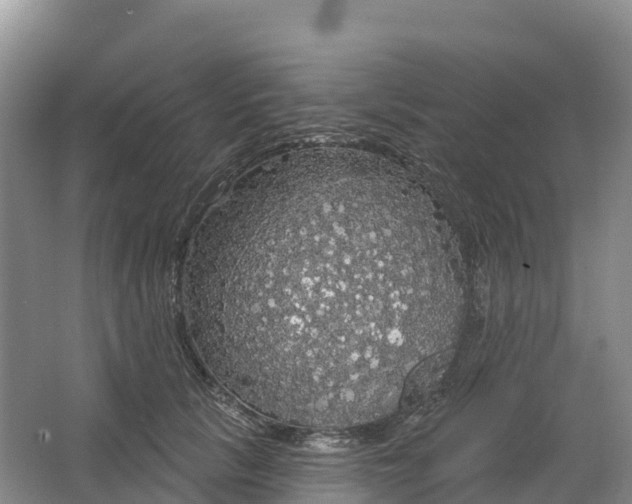 X0000064740657200602241759