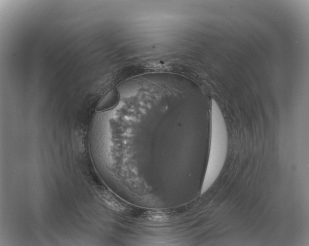 X0000064740658200602241759