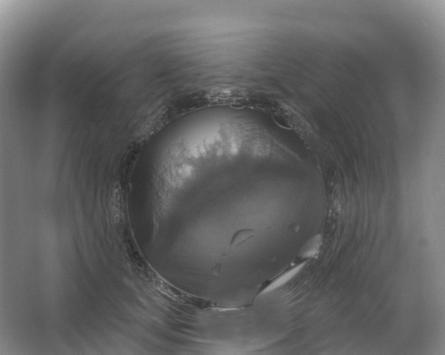 X0000064740659200602241759