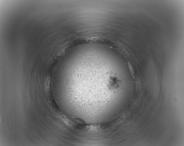 X0000064740660200602241759