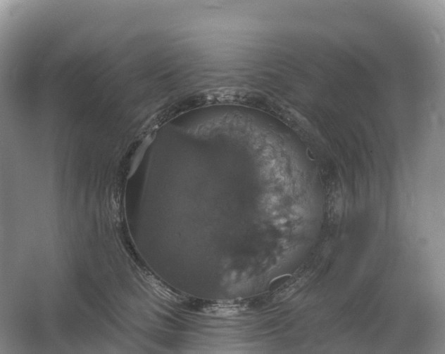 X0000064740661200602241759