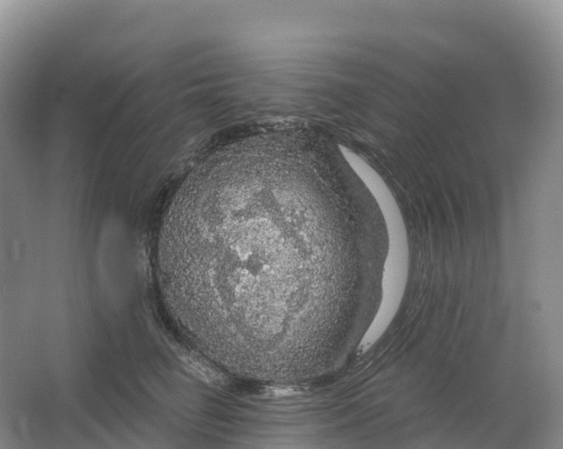 X0000064740662200602241759