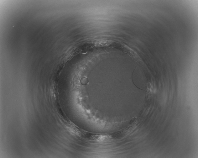 X0000064740663200602241759