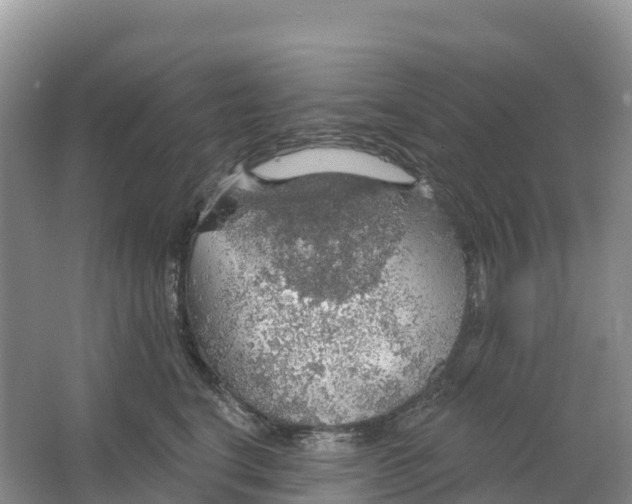 X0000064740664200602241759