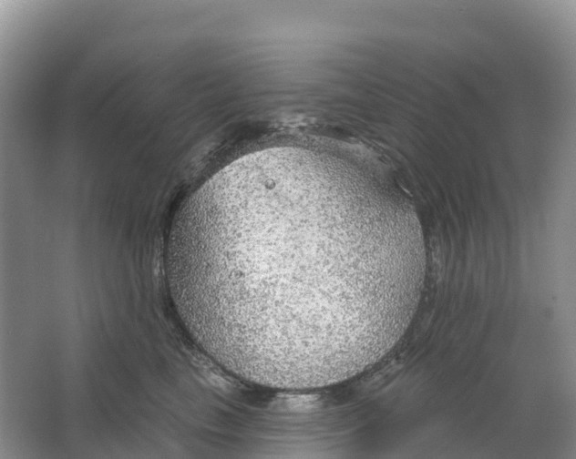 X0000064740665200602241759