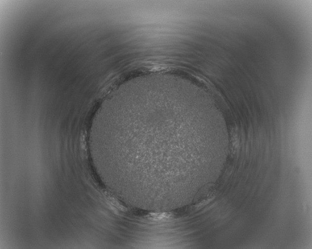 X0000064740667200602241759