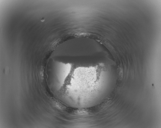 X0000064740668200602241759