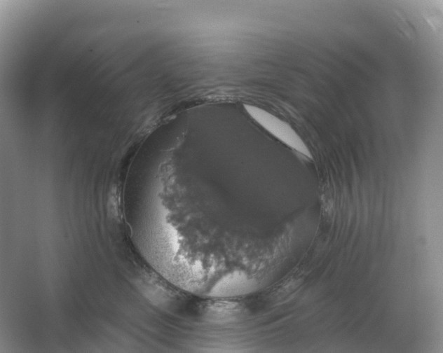 X0000064740669200602241759