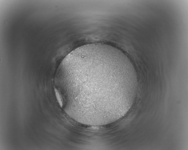 X0000064740672200602241759