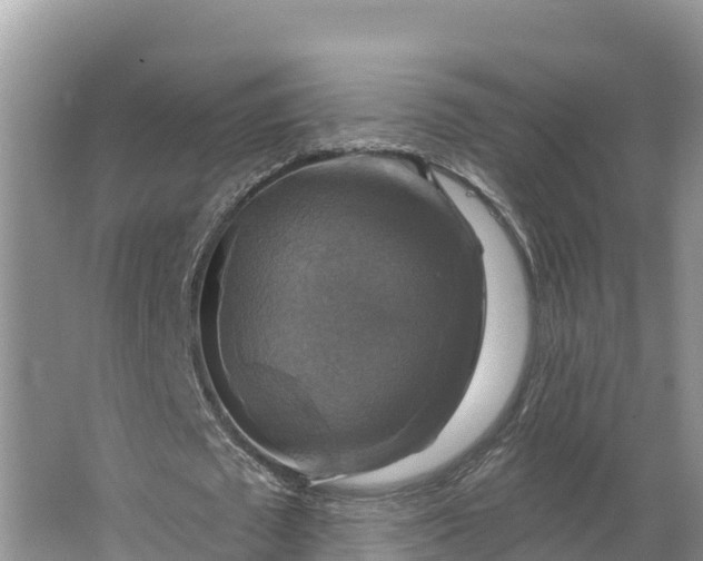 X0000064740673200602241758