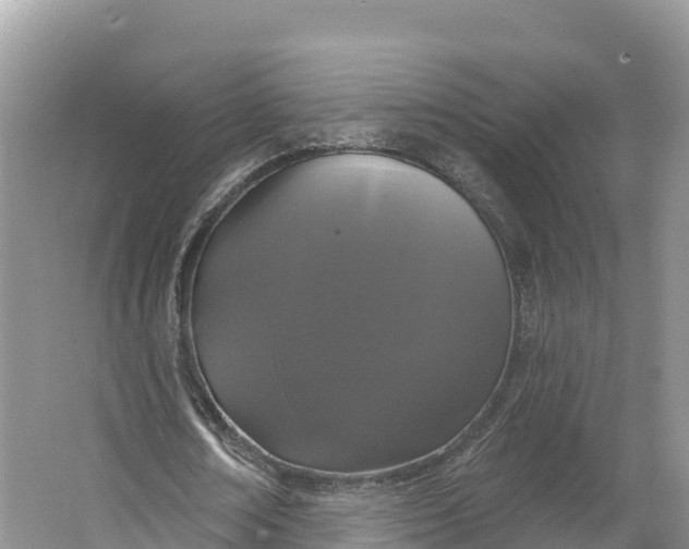 X0000064740674200602241758