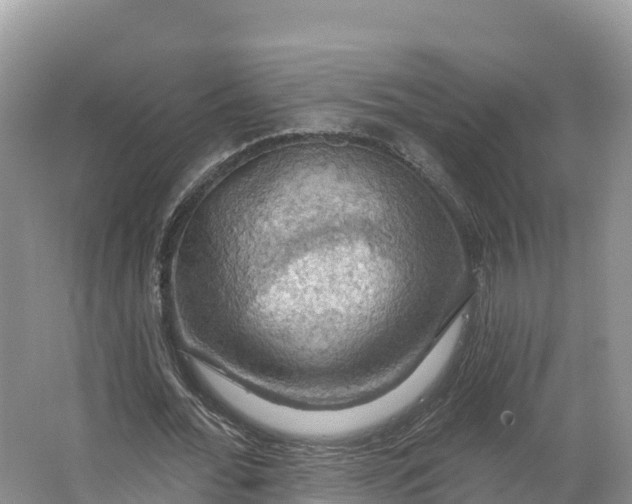 X0000064740676200602241758