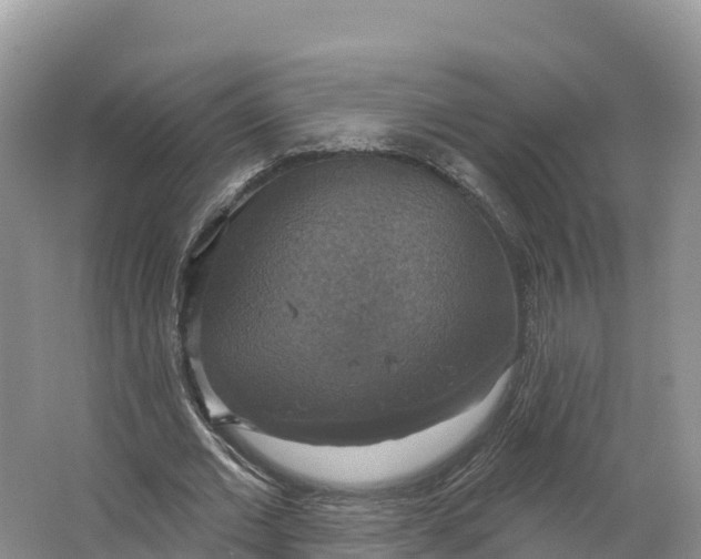 X0000064740677200602241758