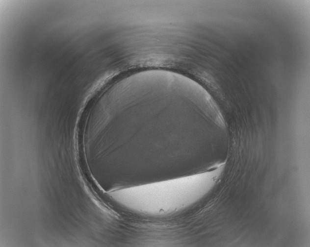 X0000064740678200602241758