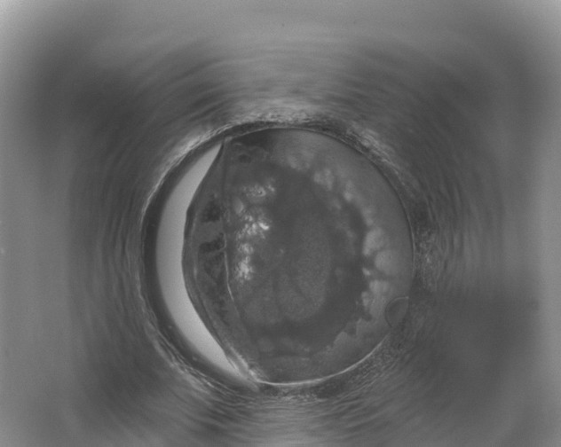 X0000064740679200602241758