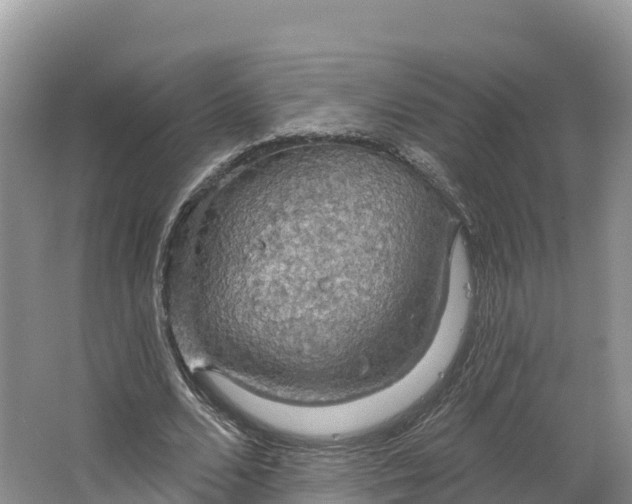 X0000064740680200602241758