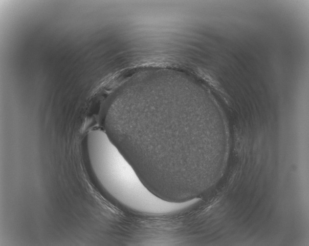 X0000064740681200602241758