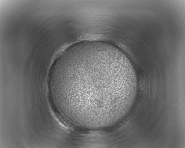 X0000064740682200602241758