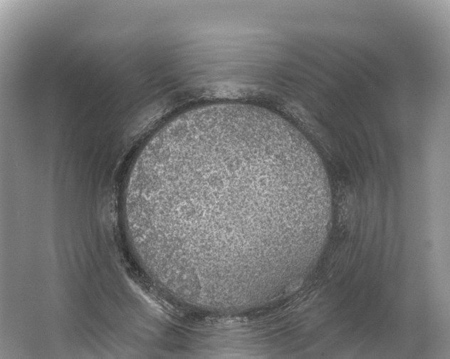 X0000064740683200602241758