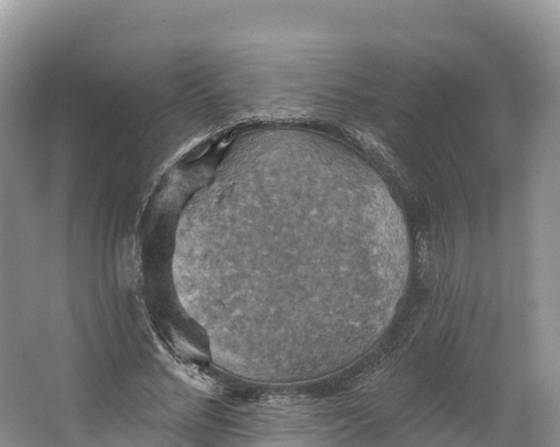 X0000064740684200602241758