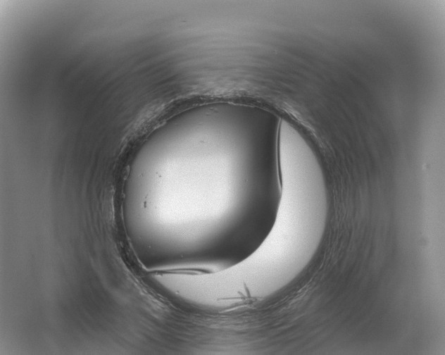 X0000064740685200602241758