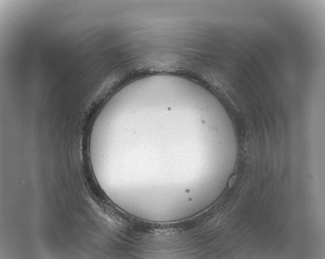 X0000064740686200602241758