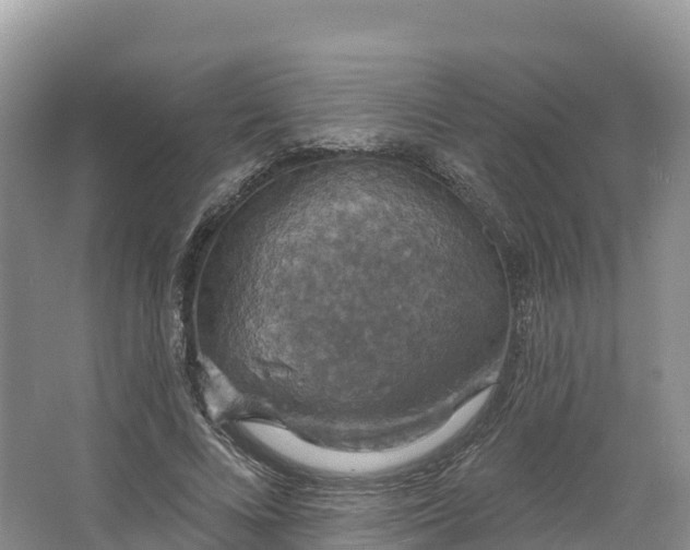 X0000064740688200602241758