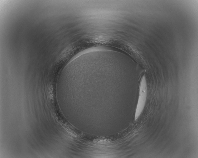 X0000064740689200602241758