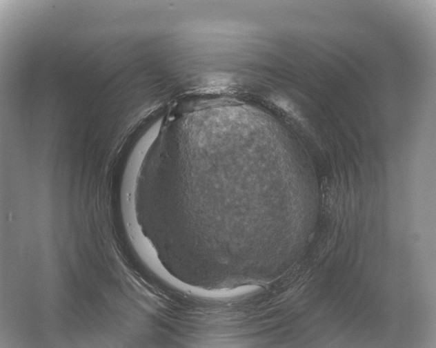 X0000064740692200602241758