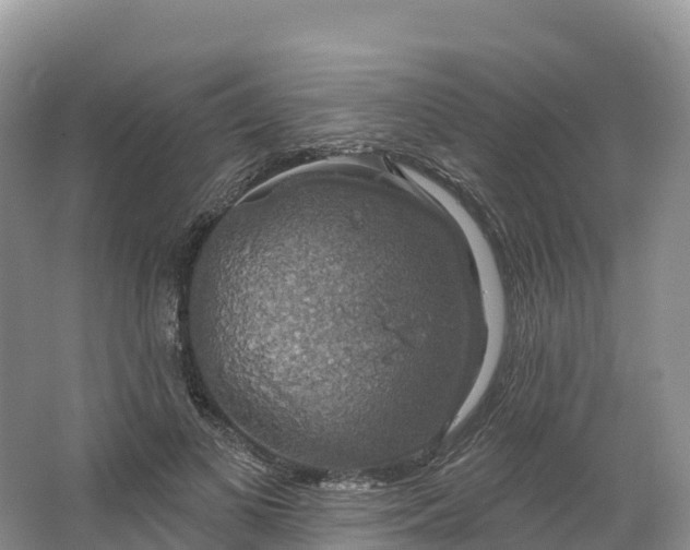 X0000064740693200602241758