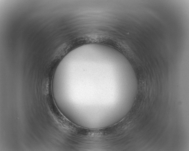 X0000064740694200602241757