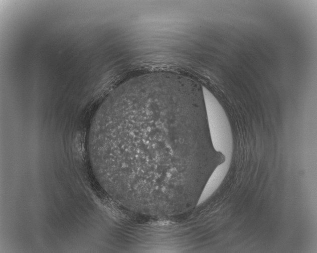 X0000064740695200602241757