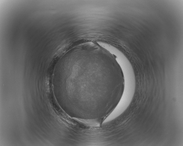 X0000064740696200602241757