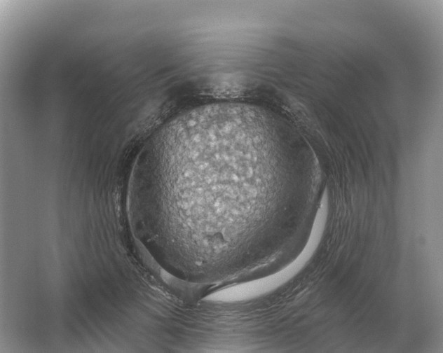 X0000064740697200602241757