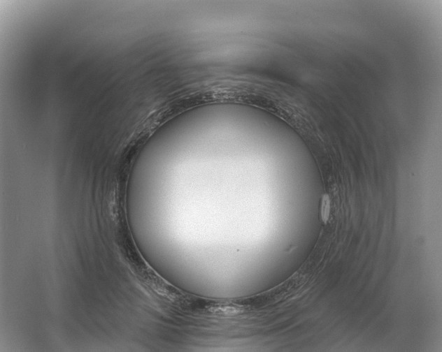 X0000064740698200602241757