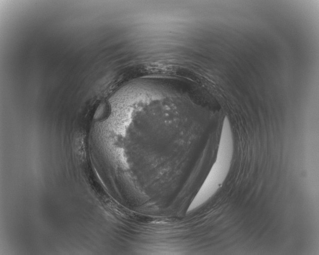 X0000064740699200602241757