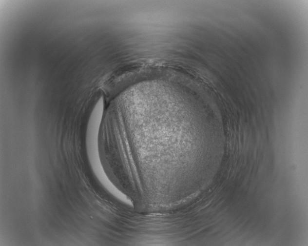 X0000064740700200602241757