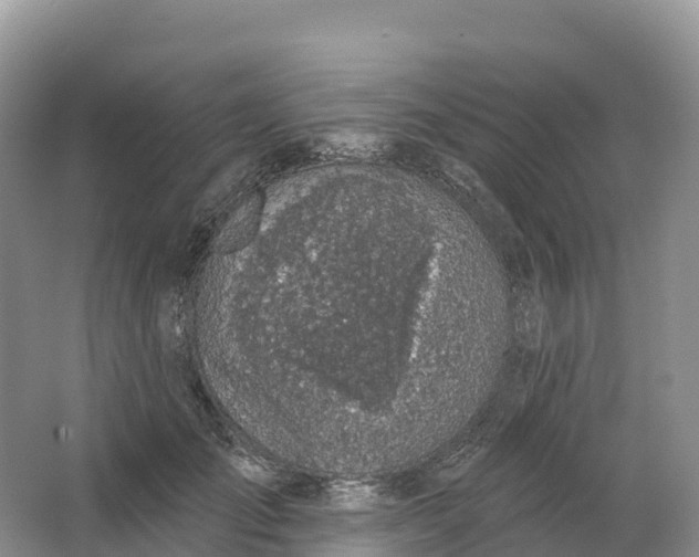 X0000064740701200602241757