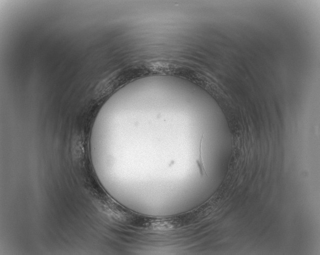 X0000064740702200602241757