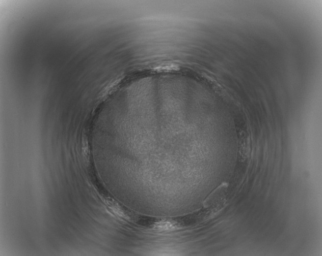 X0000064740704200602241757