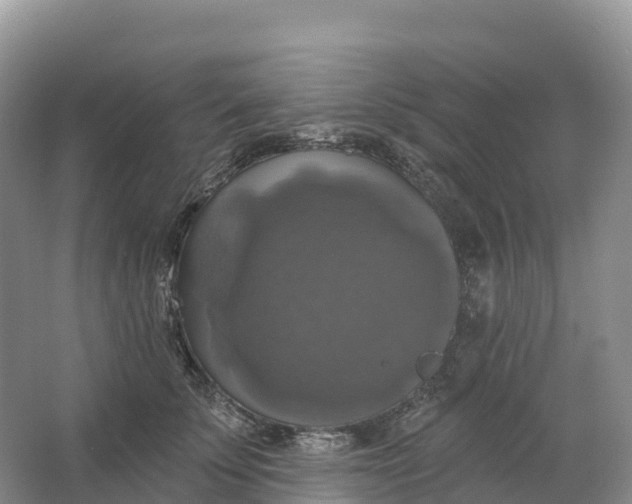 X0000064740707200602241757