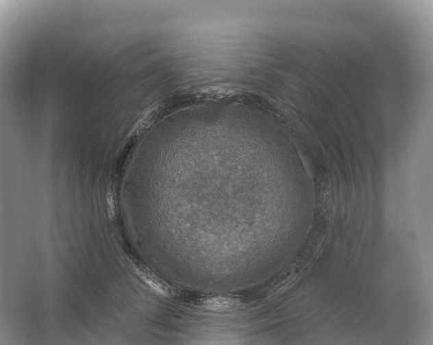 X0000064740708200602241757