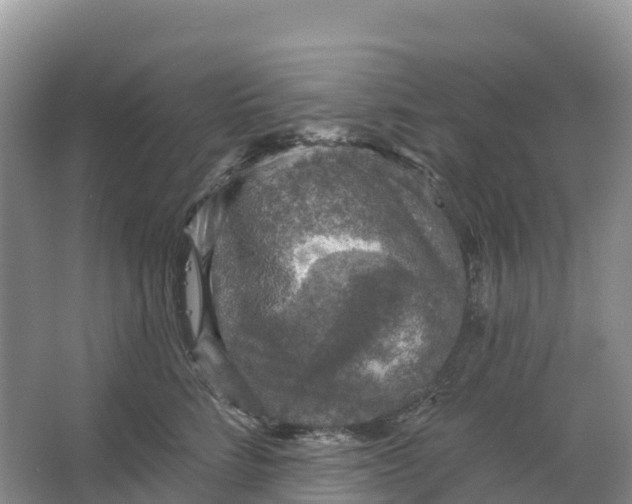 X0000064740712200602241757