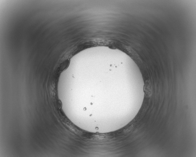 X0000064740713200602241757